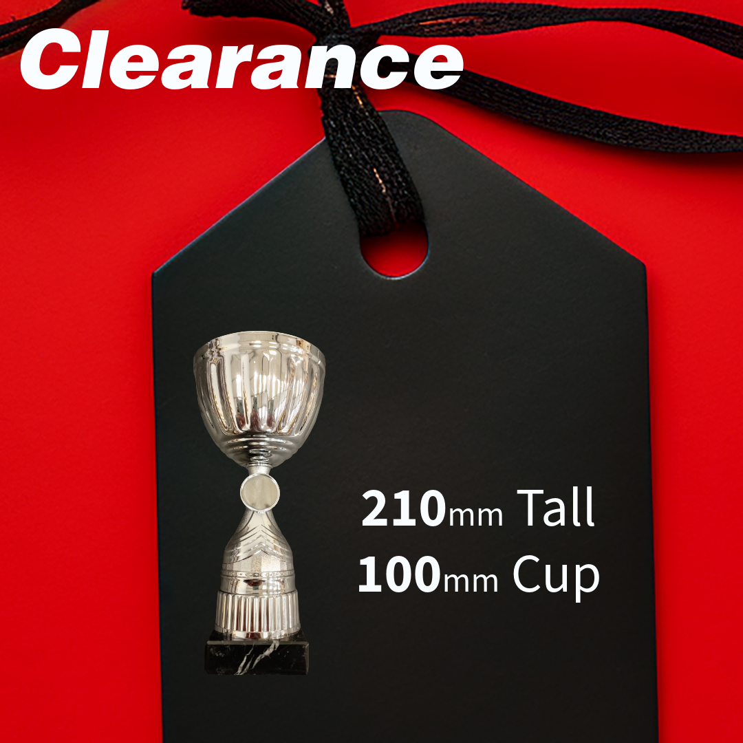 Clearance - Silver cup 210mm