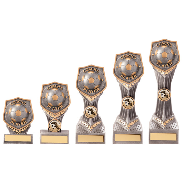 Coach Award Falcon Trophy