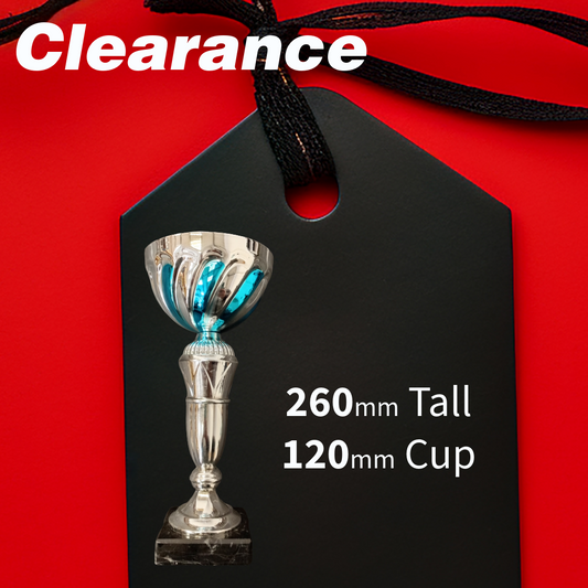Clearance - Silver / Blue Cup 260mm