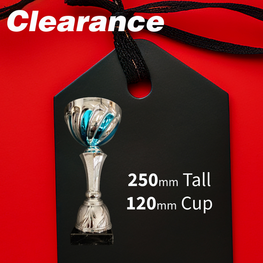 Clearance - Silver / Blue Cup 250mm