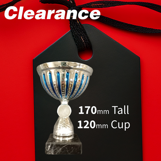 Clearance - Silver / Blue Cup 250mm